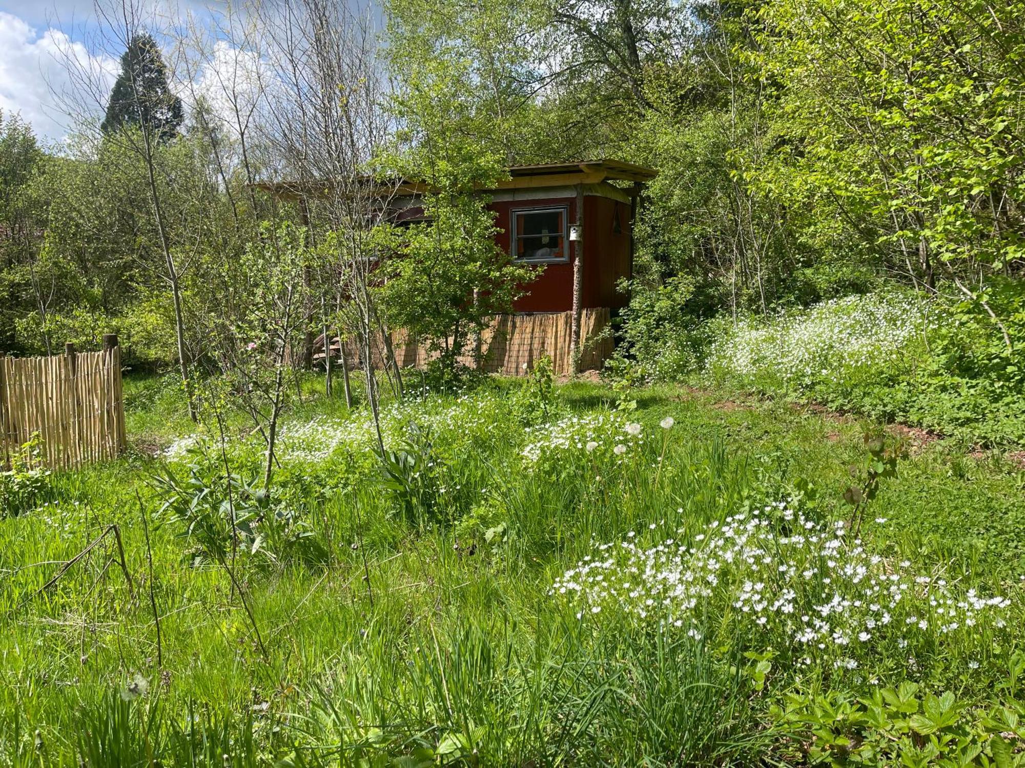 Kuscheliger Zirkuswagen Im Wildgarten Вітценгаузен Екстер'єр фото